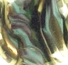 Notwitchcraft ID181.jpg