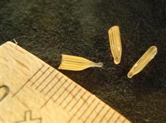 P-mamabaerchen1280820369-3a.jpg