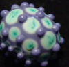 Notwitchcraft ID102.jpg