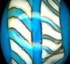 Notwitchcraft ID126.jpg