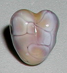Datei:FaithCarbaugh.jpg