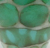 Notwitchcraft ID106.jpg