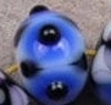 Notwitchcraft ID62.jpg
