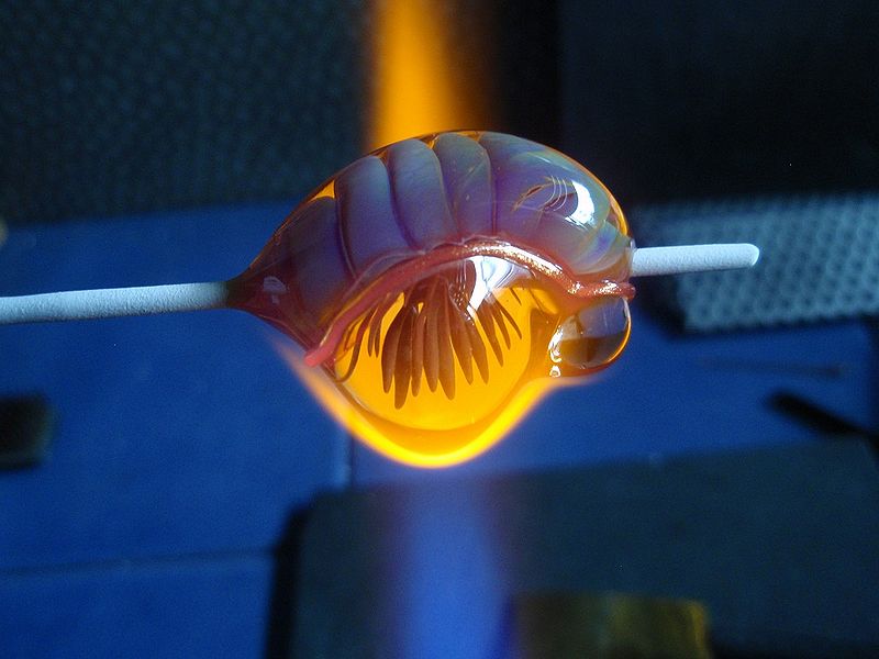 Datei:Wasserlinse22.jpg